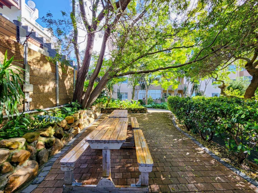 To Let 2 Bedroom Property for Rent in Oranjezicht Western Cape